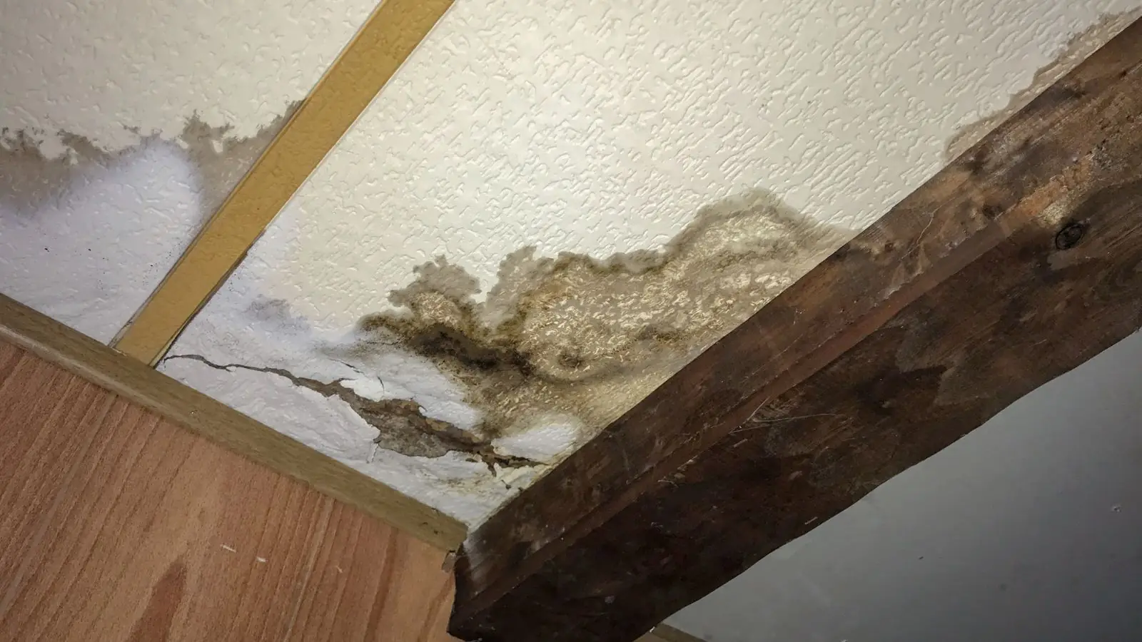 Mold-stained wood beam and damaged ceiling above a floor