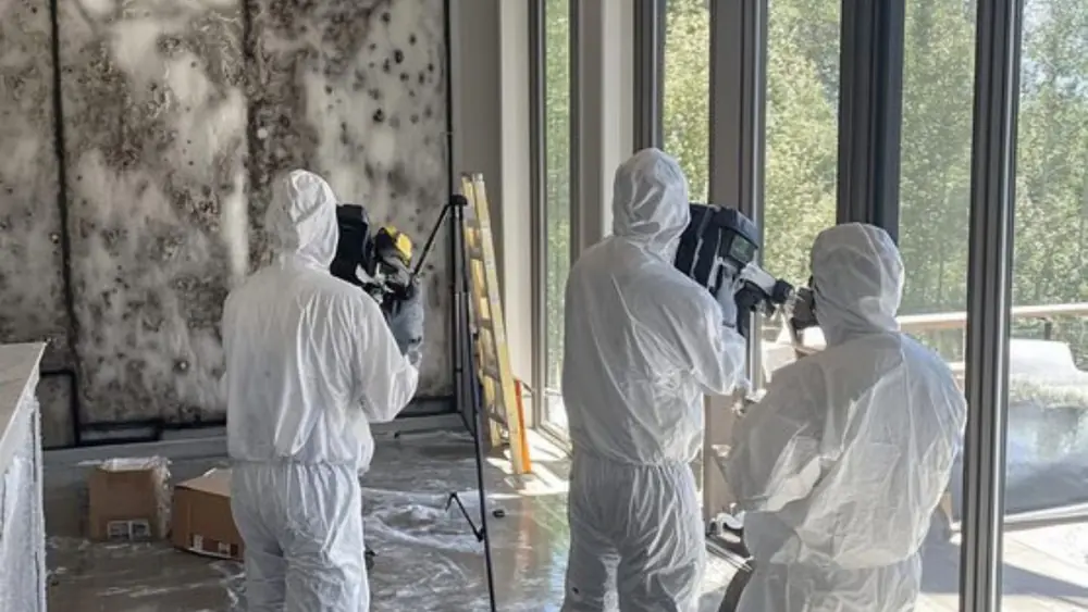 Crew in protective suits and respirators setting up equipment in a mold-affected room